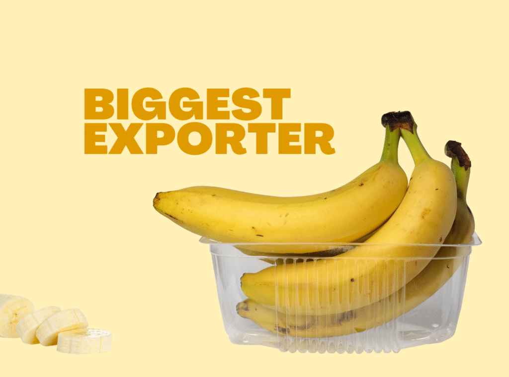 Leading Banana exporter